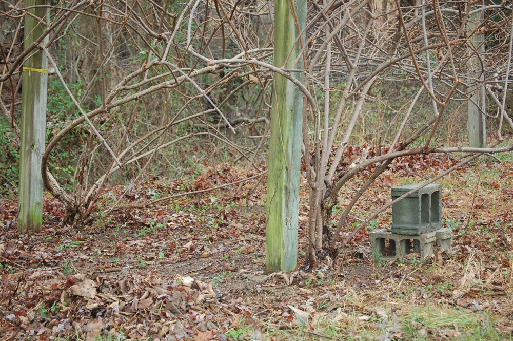 DSC_0018.JPG