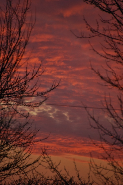 DSC_0019 (428x640).jpg