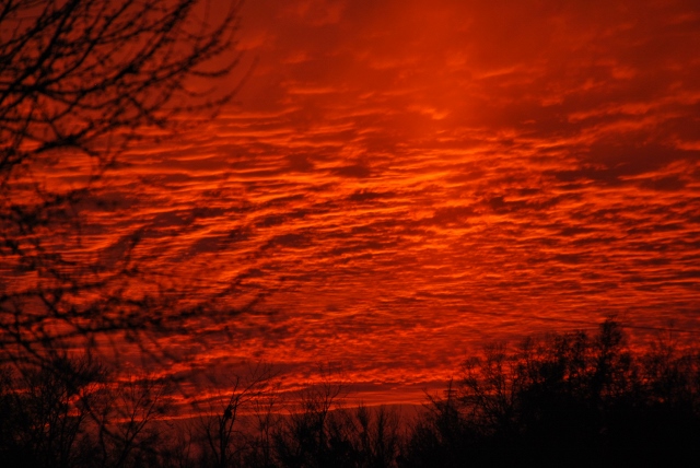 DSC_0020 (640x428).jpg