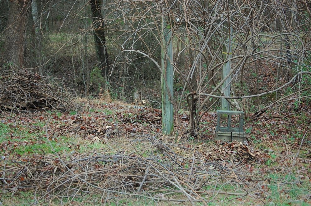 DSC_0021.JPG