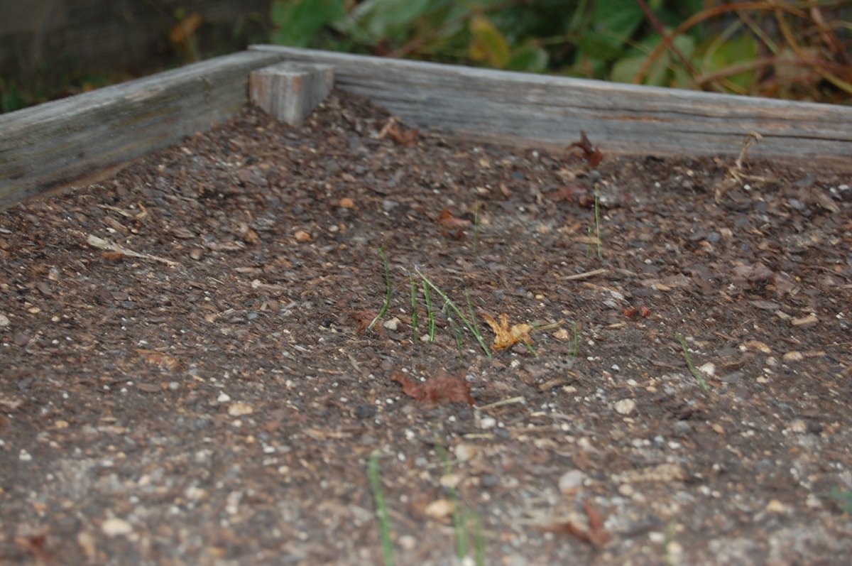DSC_0021.JPG