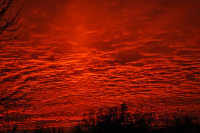 DSC_0022 (640x428).jpg