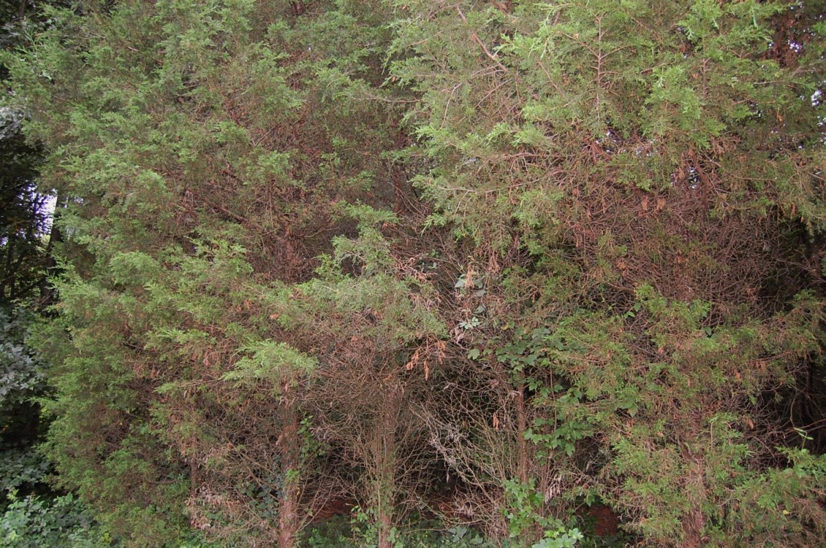 DSC_0022.JPG