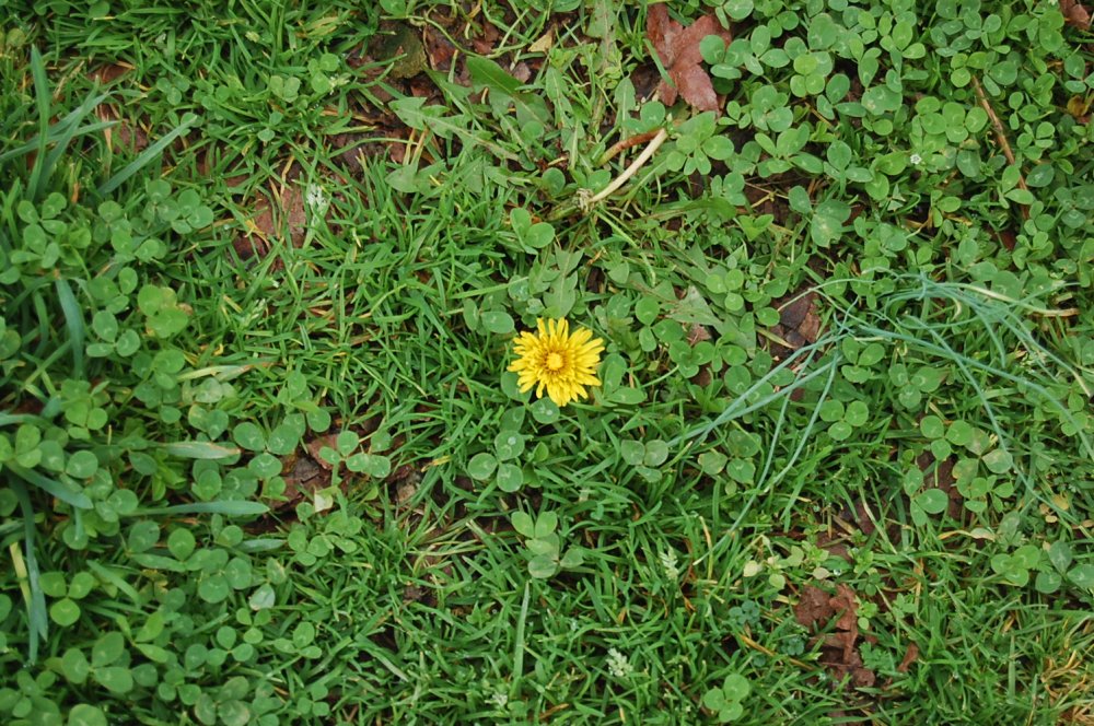 DSC_0030.JPG