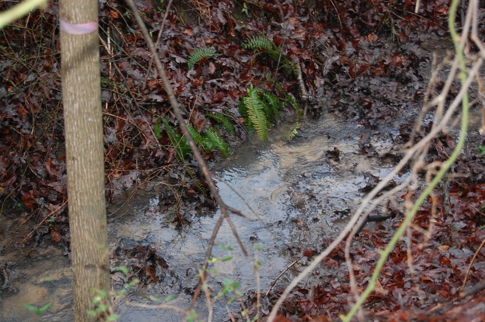 DSC_0031.JPG