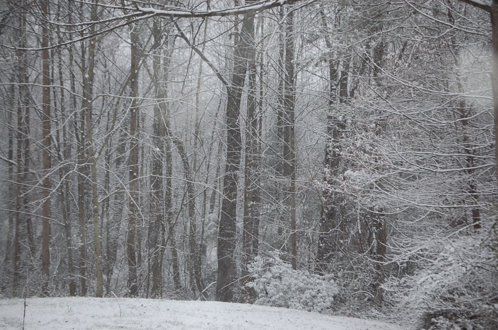 DSC_0036.JPG