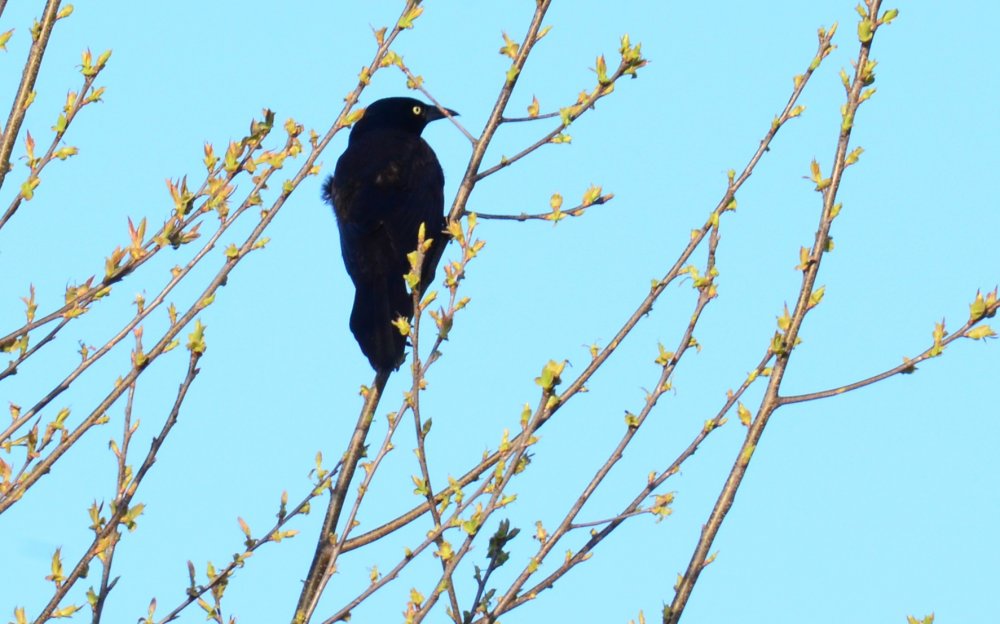 DSC_0067.jpg