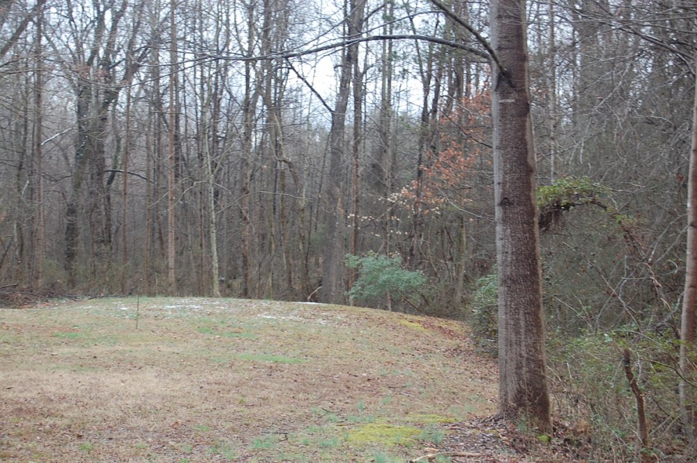 DSC_0076.JPG