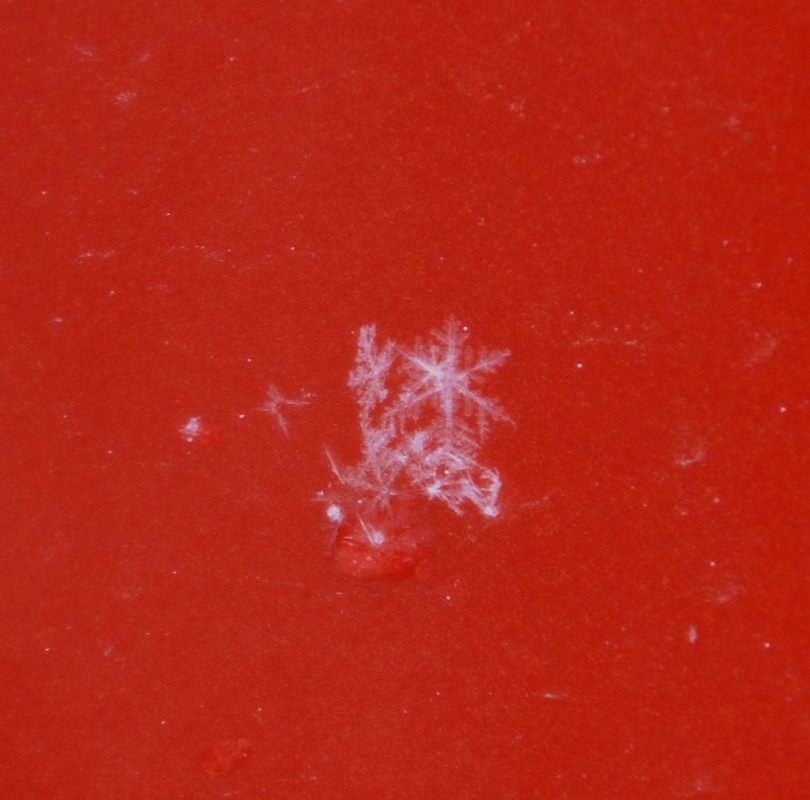 DSC_0095.JPG