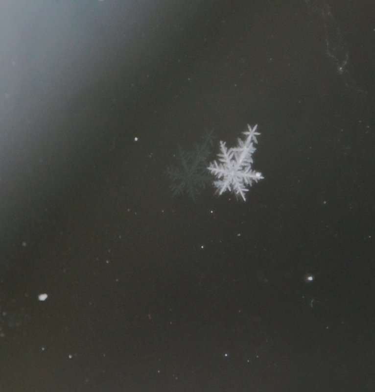 DSC_0105.JPG