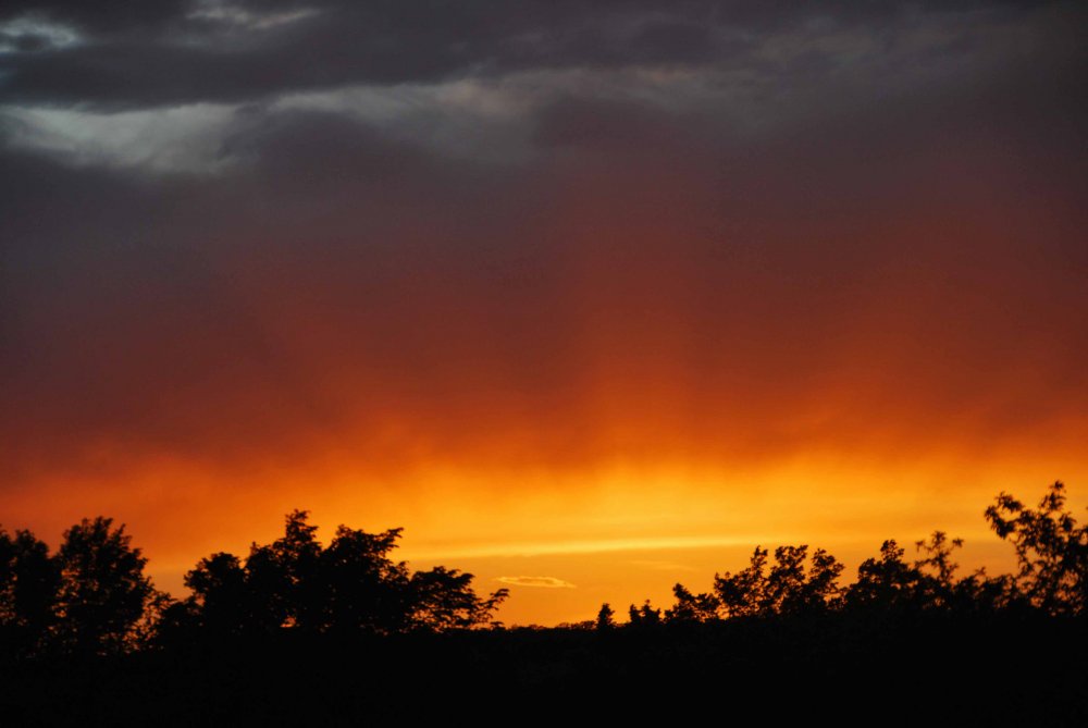 DSC_0176.JPG