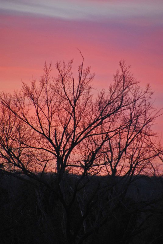 DSC_0235_edited-1.jpg