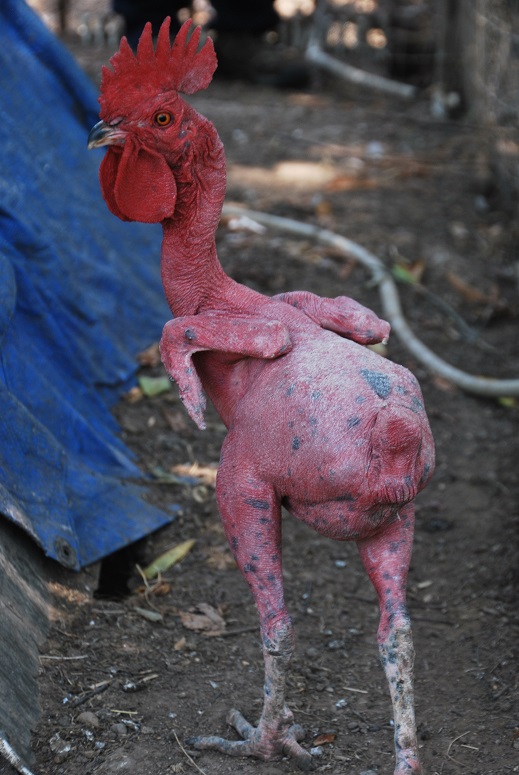 DSC_0282.JPG