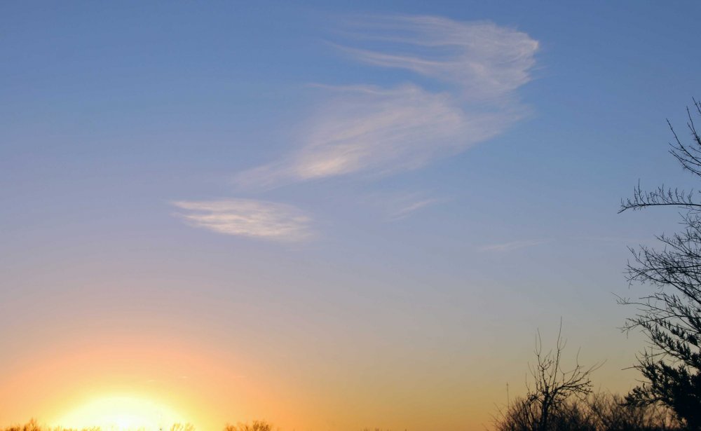 DSC_0356_edited-1.jpg