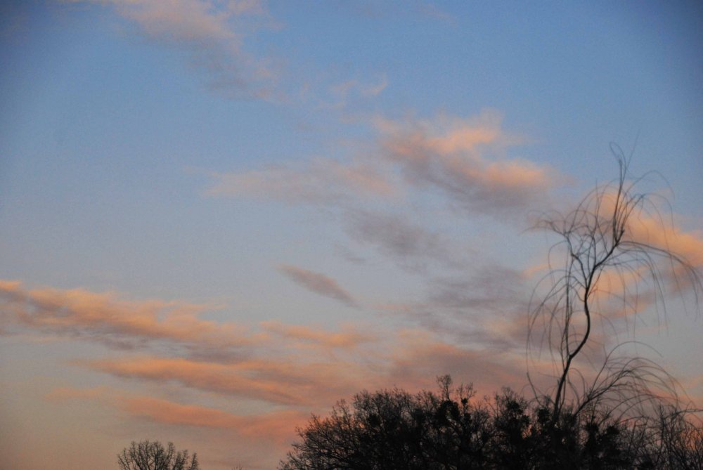 DSC_0363_edited-1.jpg