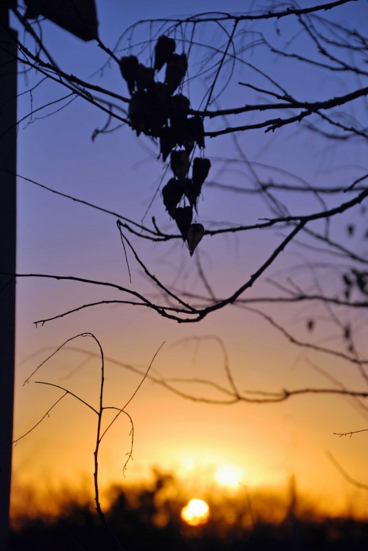 DSC_0383_edited-1.jpg