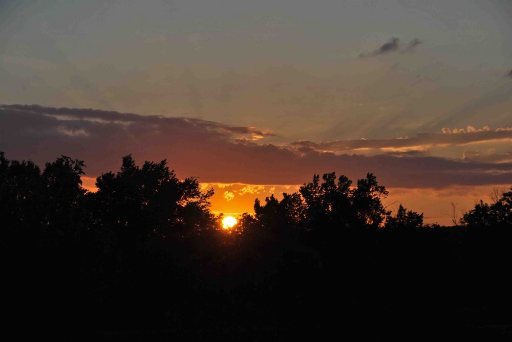DSC_0459.JPG