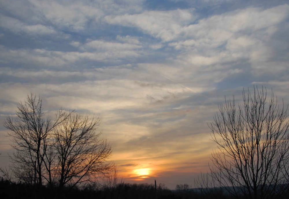 DSC_0508_edited-1.jpg