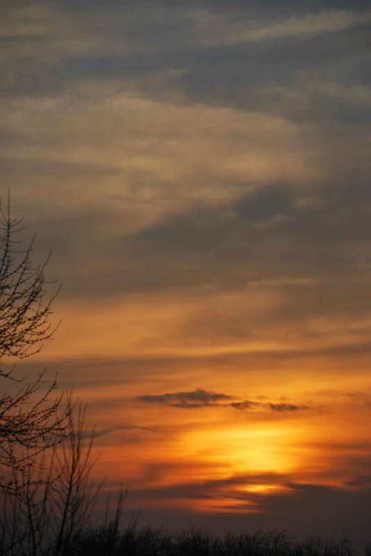 DSC_0511_edited-1.jpg