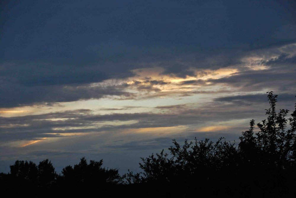 DSC_0517.JPG
