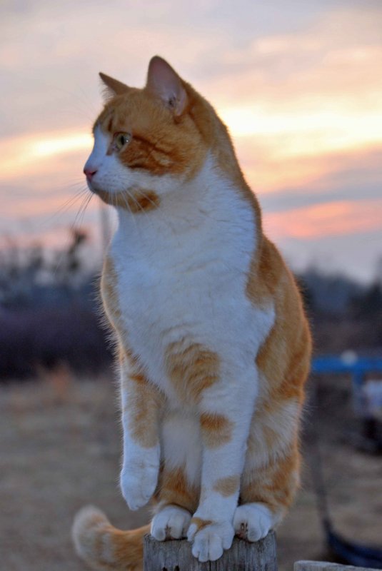DSC_0523_edited-1.jpg