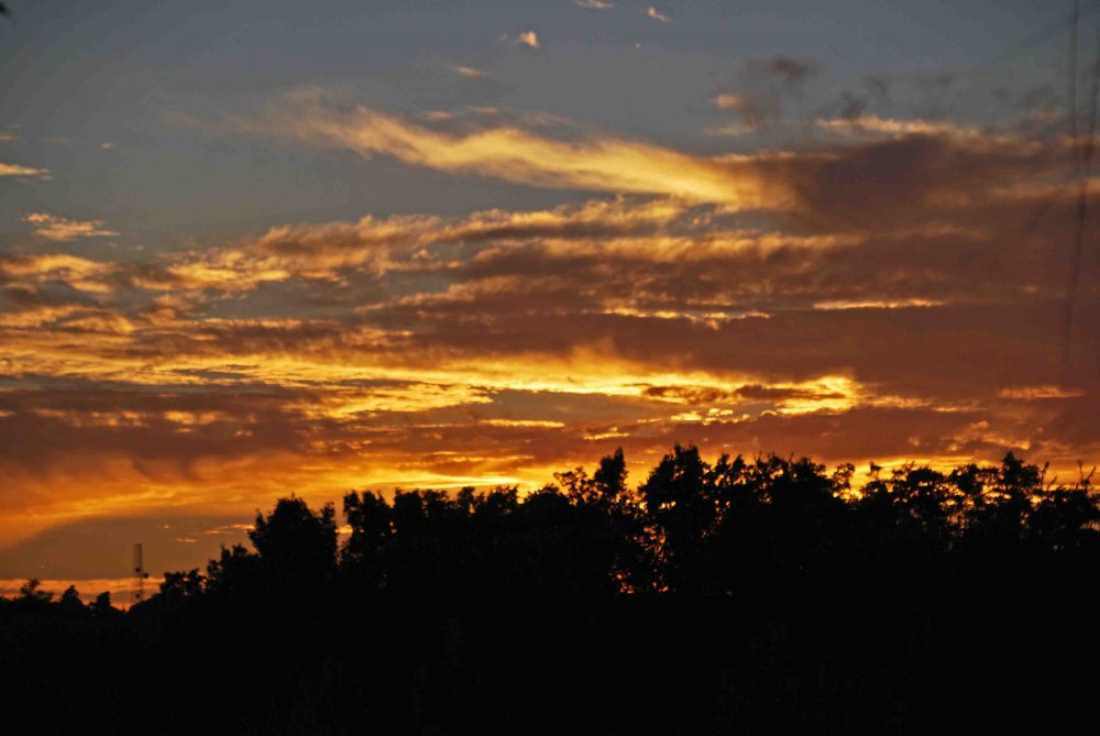 DSC_0573.JPG