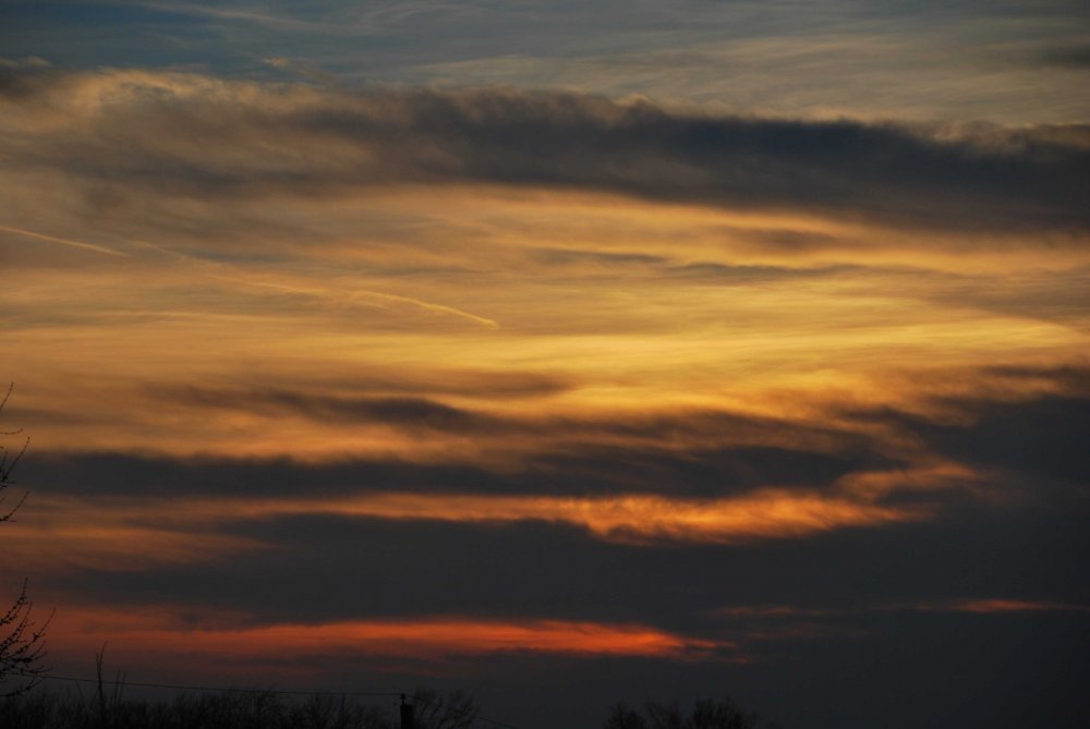 DSC_0618_edited-1.jpg