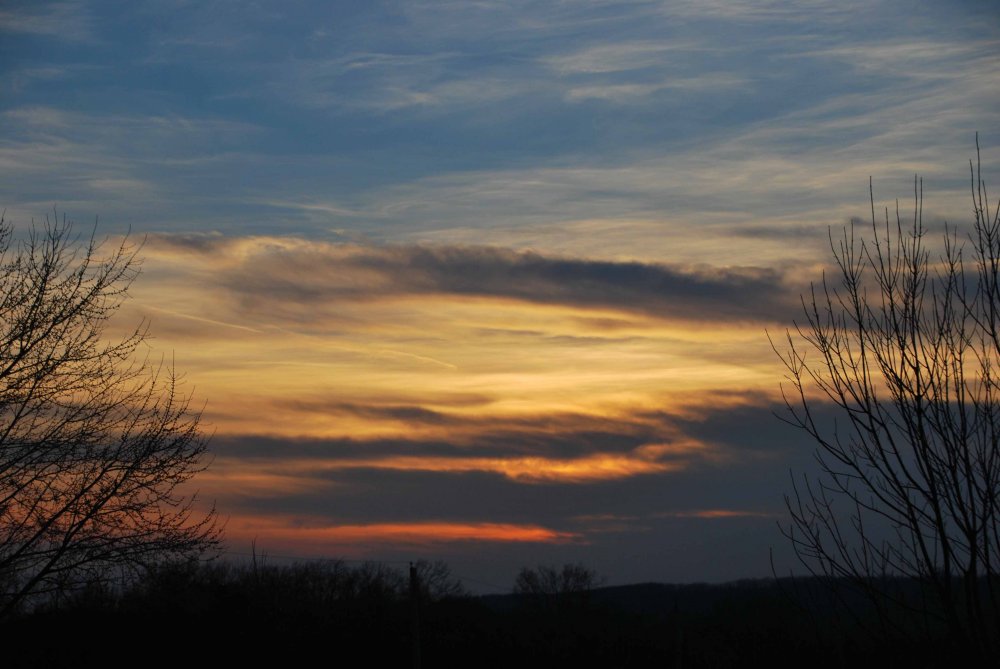 DSC_0619_edited-1.jpg