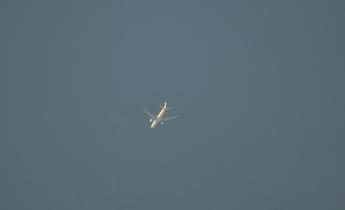 DSC_0643.jpg