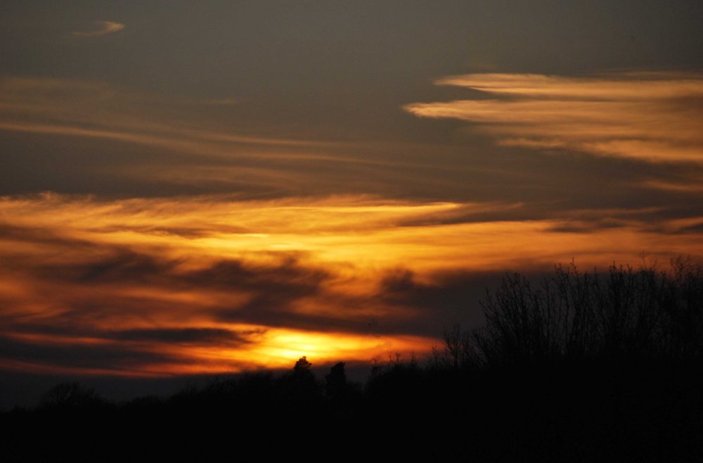DSC_0677_edited-1.jpg