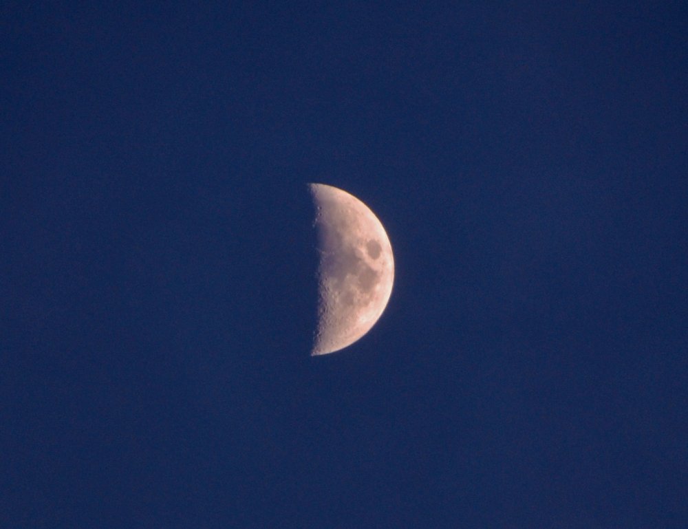 DSC_0679_edited-1.jpg