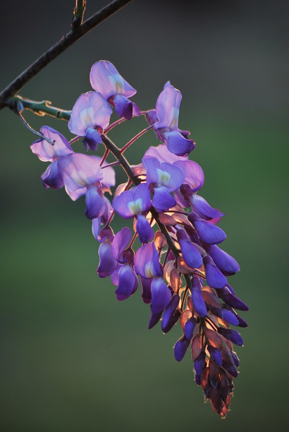 DSC_0685.JPG