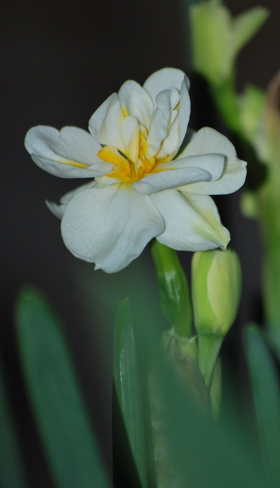 DSC_0702.JPG