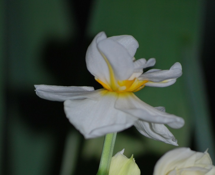 DSC_0703.JPG