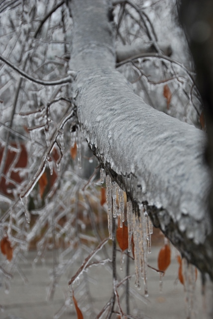 DSC_0865 (428x640).jpg
