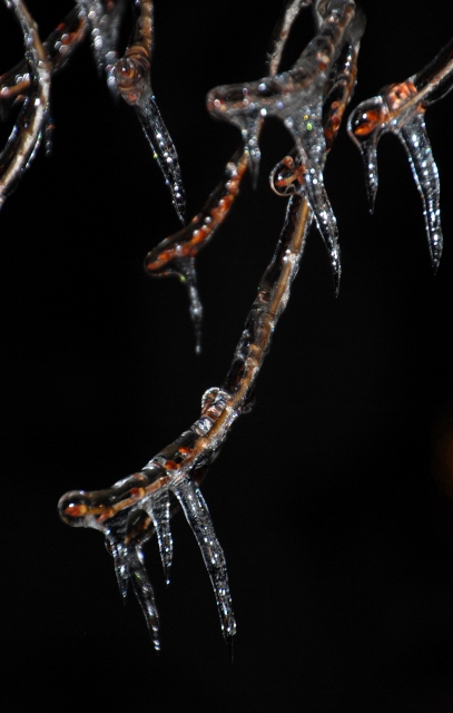 DSC_0893 (407x640).jpg