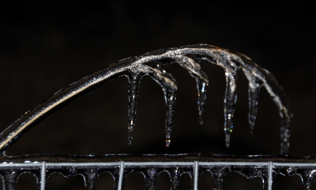 DSC_0901 (640x384).jpg