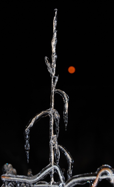 DSC_0904 (389x640).jpg