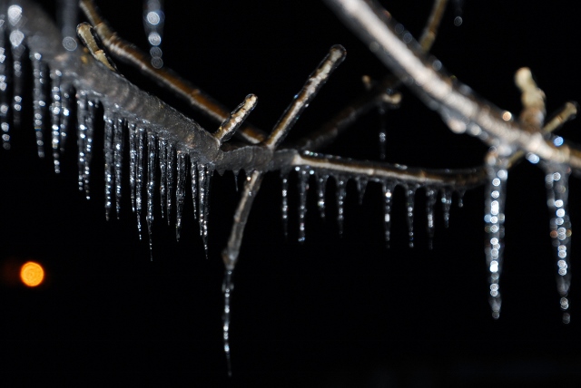 DSC_0907 (640x428).jpg