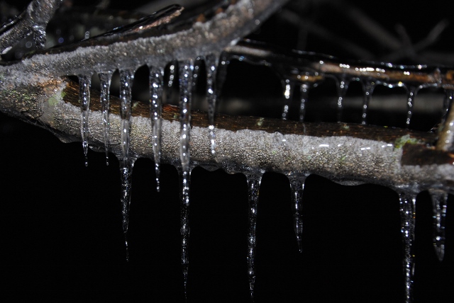 DSC_0908 (640x428).jpg