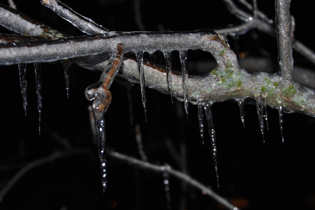 DSC_0911 (640x426).jpg