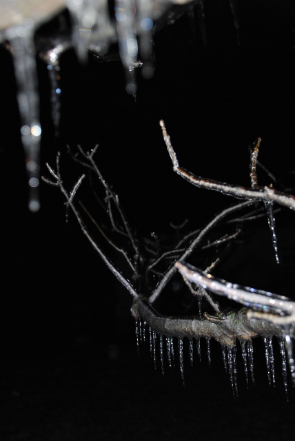 DSC_0915 (428x640).jpg