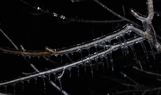 DSC_0918 (640x378).jpg