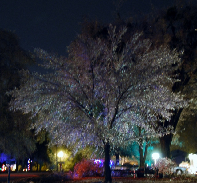DSC_0924 (640x595).jpg