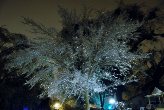 DSC_0936 (640x428).jpg