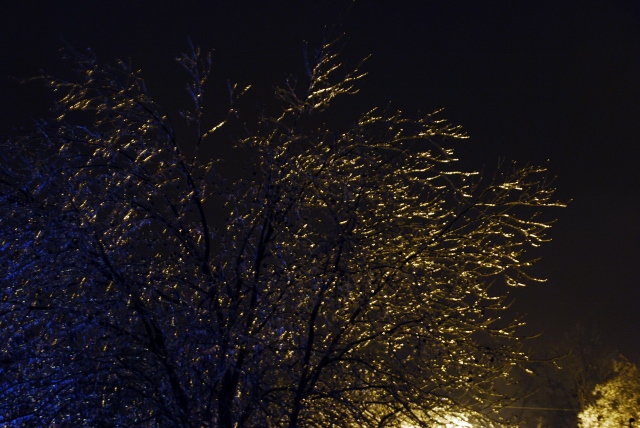 DSC_0949 (640x428).jpg