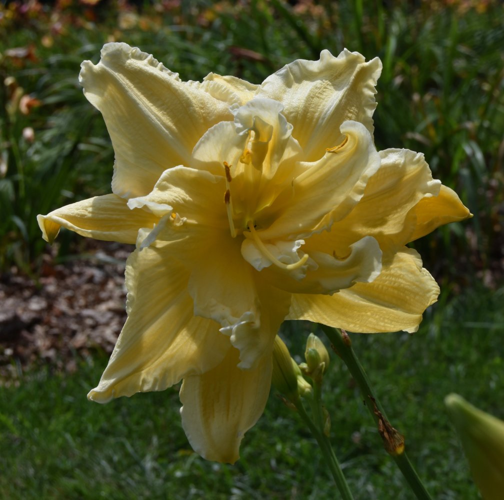 DSC_1014.jpeg