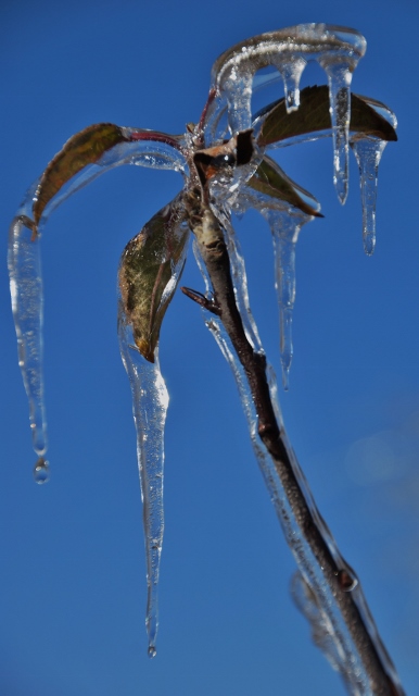 DSC_1020 (386x640).jpg