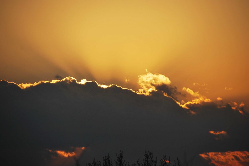 DSC_1044_edited-2.jpg