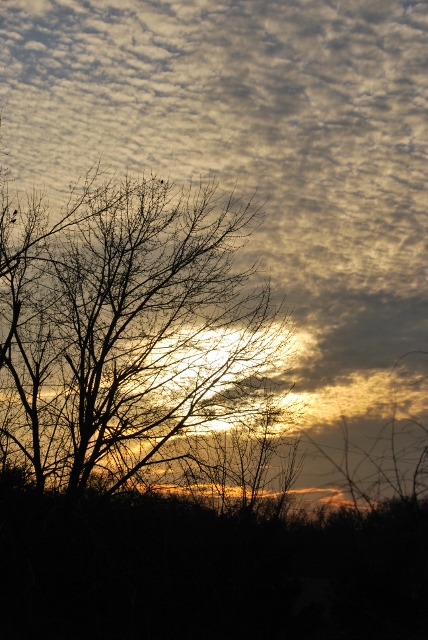 DSC_1084 (428x640).jpg